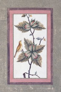 鳥と花の研究、1780年頃