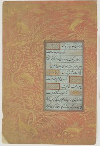 書道のフォリオ、イラン、サファヴィー朝（インク、不透明な水彩、紙に金）