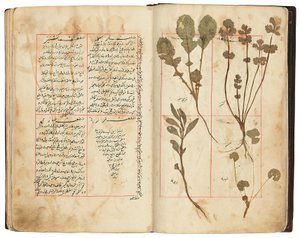 Hassan Bin Baqir Bin Jarrah：Gulzar Al-Rayahin、Qajar Iran 作： Persian School