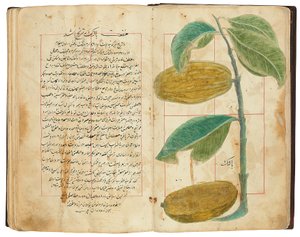 Hassan Bin Baqir Bin Jarrah：Gulzar Al-Rayahin、Qajar Iran 作： Persian School