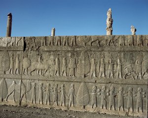 ダリウス1世に贈り物をする従順な民族...アパダナの東階段のレリーフ、前6世紀 作： Persian School