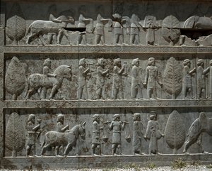 ダリウス1世に贈り物をする従順な民族 アパダナの東階段のレリーフ 前6世紀 作： Persian School