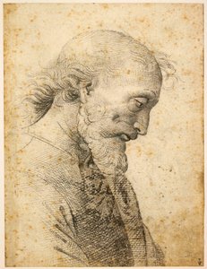 男性の胸像、1500 年から 1503 年。 作： Perugino