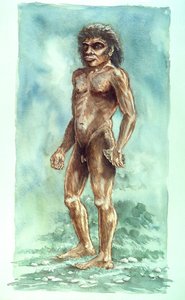 ボックスグローブマン、先史時代、1990～2010年 作： Peter Dunn