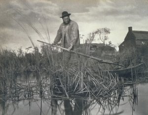 ノーフォークブロードの沼地、生活、風景からの帰宅、1886 作： Peter Emerson und Thomas Goodall