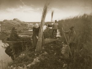 リードハーベスト、ノーフォークブロードでの生活と風景、1886年頃 作： Peter Emerson und Thomas Goodall