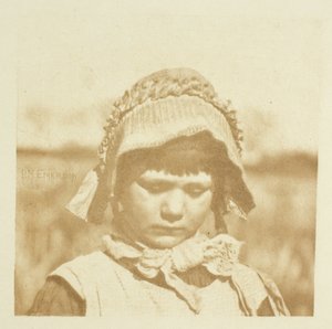ノーフォークフラワー 作： Peter Henry Emerson