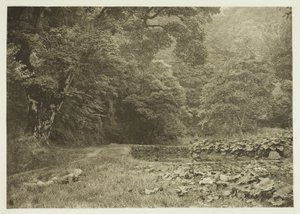 ベレスフォード・デールの静かな隠れ家 作： Peter Henry Emerson