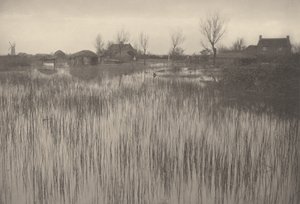 荒れ果てた海岸 作： Peter Henry Emerson