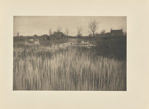 険しい海岸 作： Peter Henry Emerson