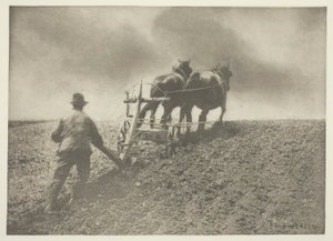 固い引き (サフォーク) 作： Peter Henry Emerson