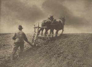 堅い引き。[サフォーク] 作： Peter Henry Emerson