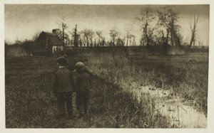 道のヒキガエル: ノーフォークの早春