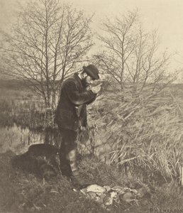 コバート・コーナーにて。[ノーフォーク］ 作： Peter Henry Emerson