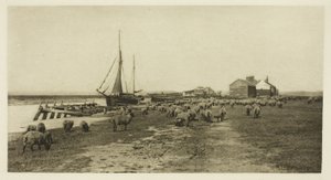 ブラックショア、リバー ブライス (サフォーク) 作： Peter Henry Emerson