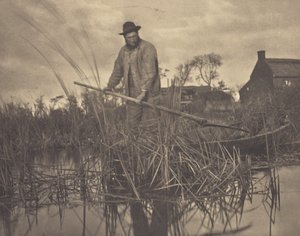 グラードンのカット 作： Peter Henry Emerson