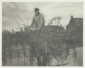 グラードンのカット 作： Peter Henry Emerson