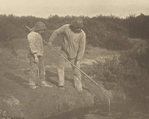うなぎ＝サフォーク海域でのうなぎ狩り 作： Peter Henry Emerson
