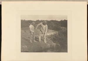 うなぎ＝サフォーク海域でのうなぎ狩り 作： Peter Henry Emerson