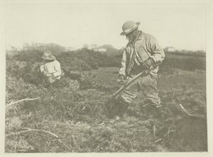 サフォークコモンのファーズカット 作： Peter Henry Emerson