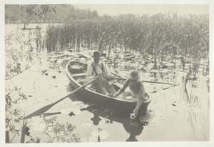 スイレン集め 作： Peter Henry Emerson