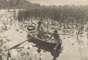 睡蓮を集める 作： Peter Henry Emerson