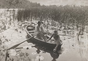 スイレンの収集 作： Peter Henry Emerson