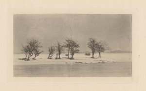 節くれだったとげの木 作： Peter Henry Emerson