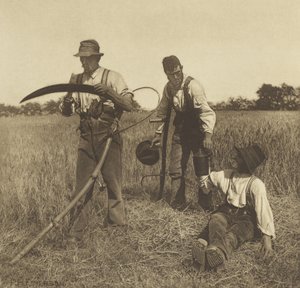 大麦収穫、サフォーク、1888年（グラビア）