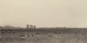 北海の沼地 作： Peter Henry Emerson