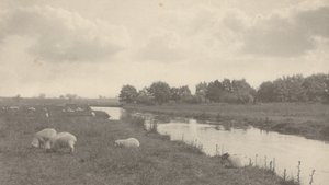 ブレ川にて、1886年（写真） 作： ピーター・ヘンリー・エマーソン