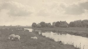 1886年、ブレ川にて。 作： Peter Henry Emerson