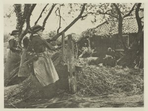 Osier-Peeling (ノーフォーク) 作： Peter Henry Emerson
