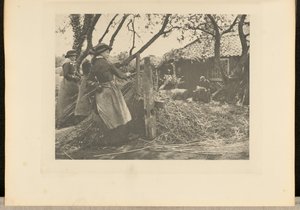 オシア＝ピーリング。[ノーフォーク]]。 作： Peter Henry Emerson