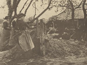 オシア＝ピーリング。[ノーフォーク]]。 作： Peter Henry Emerson