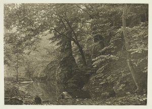 「パイクプール」（下から） 作： Peter Henry Emerson