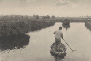 湿地干し草の定量化