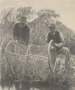 バウネットのセットアップ 作： Peter Henry Emerson