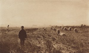 6月の湿地 作： Peter Henry Emerson