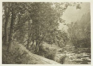 ダブ・デール、最初のブレーを越える道 作： Peter Henry Emerson