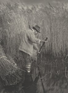 仕事中のリードカッター 作： Peter Henry Emerson and T.F. Goodall