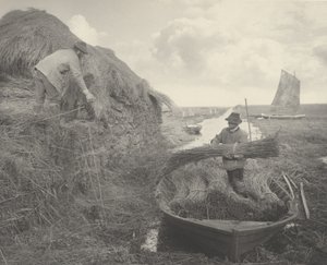 葦をなめる 作： Peter Henry Emerson and T.F. Goodall