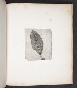 葉の刻印 作： Peter Larsen Kyhl