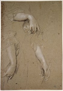 手に関する研究、17世紀（紙にチョーク） 作： Peter Lely
