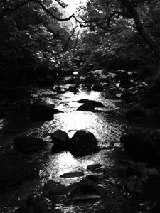 KINTYRE...PLUS.18 作： Peter McClure
