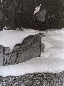 VINTAGE B＆W PHOTO No.3、1985、（写真） 作： Peter McClure