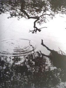 VINTAGE B＆W PHOTO No.5、1986、（写真） 作： Peter McClure