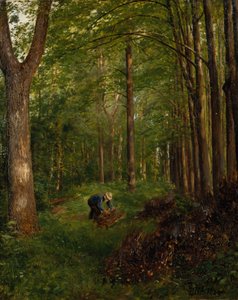 古いポプラ、Gulskov ガーデンのセクション 作： Peter Nicolai Arbo