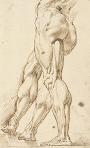 男性のヌードの脚のエコルシェ研究、右脚の補助研究 作： Peter Paul Rubens