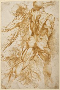 解剖学的研究 作： Peter Paul Rubens